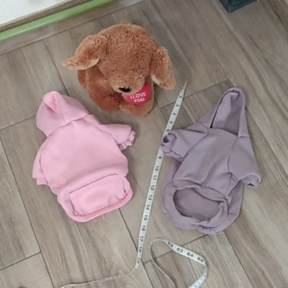 2 Puppy Hoodies